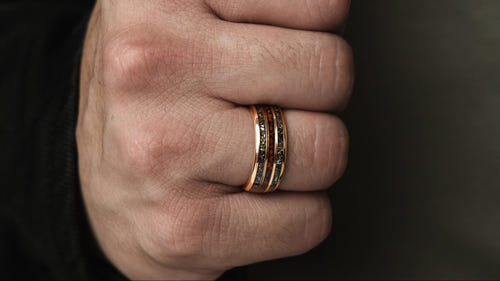 DYNOREX- Meteorite Dinosaur Bone Ring