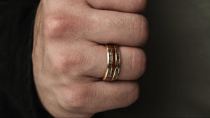 DYNOREX- Meteoriten-Dinosaurierknochen-Ring